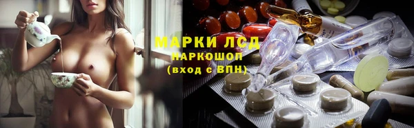 прущие грибы Болохово